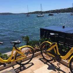australia-02
