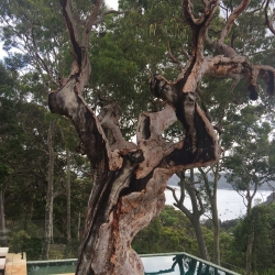 australia-09