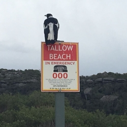 australia-17
