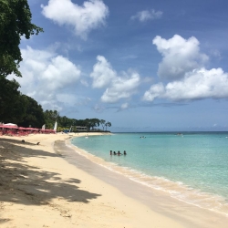 Barbados 14