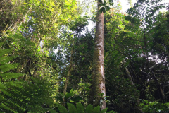malaysia-gallery-28