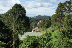malaysia-gallery-29