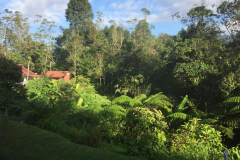 malaysia-gallery-31