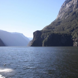 new-zealand-10
