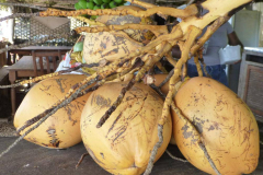 seychelles-gallery-02