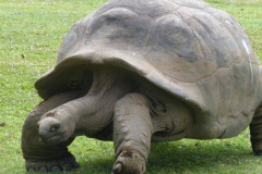seychelles-gallery-17