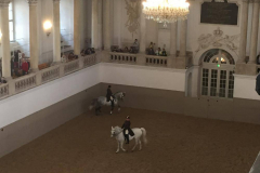 vienna-gallery-05