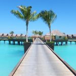 The Maldives
